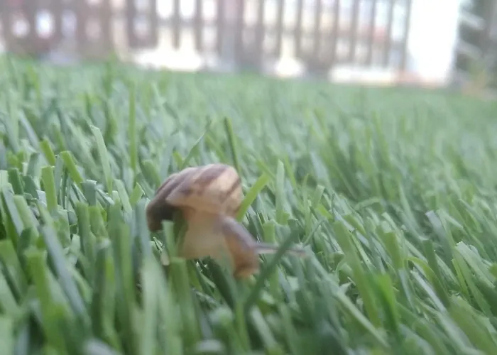 Evris House Ferienhaus