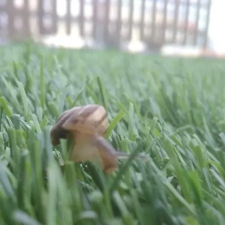 Evris House Σπίτι διακοπών