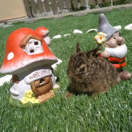 Tatil Evi Evris House Kavala